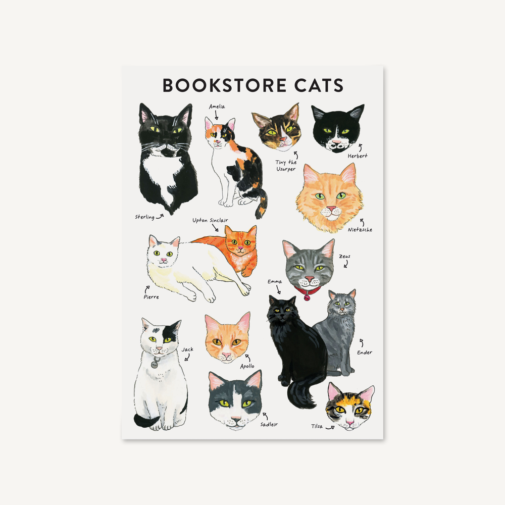 My Adorable Cat Journal By Chronicle Books  Urban Outfitters Japan -  Clothing, Music, Home & Accessories