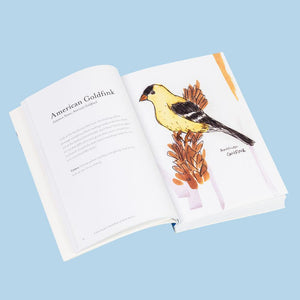 The Field Guide to Dumb Birds of North America (Bird Books, Books for Bird Lovers, Humor Books) [Book]